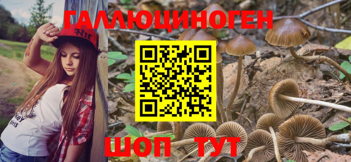 Псилоцибиновые грибы Psilocybine cubensis  Вход с VPN  Коркино 